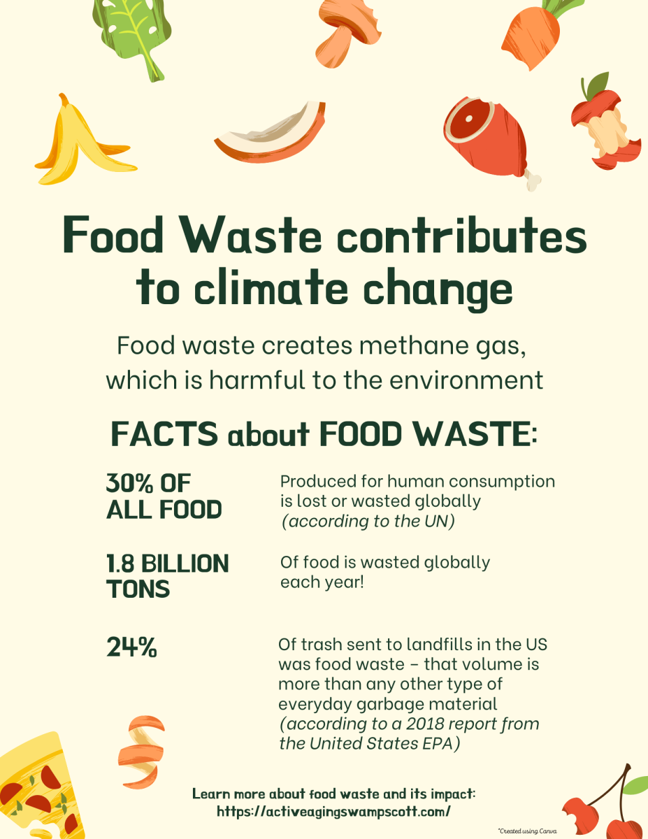 Facts about Food Waste