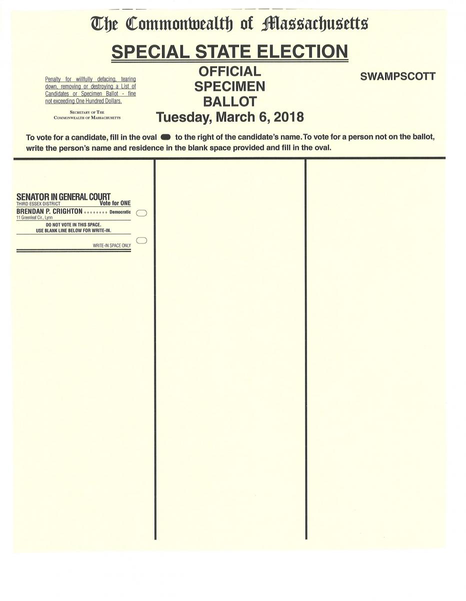 March 6, 2018 Special State election sample ballot