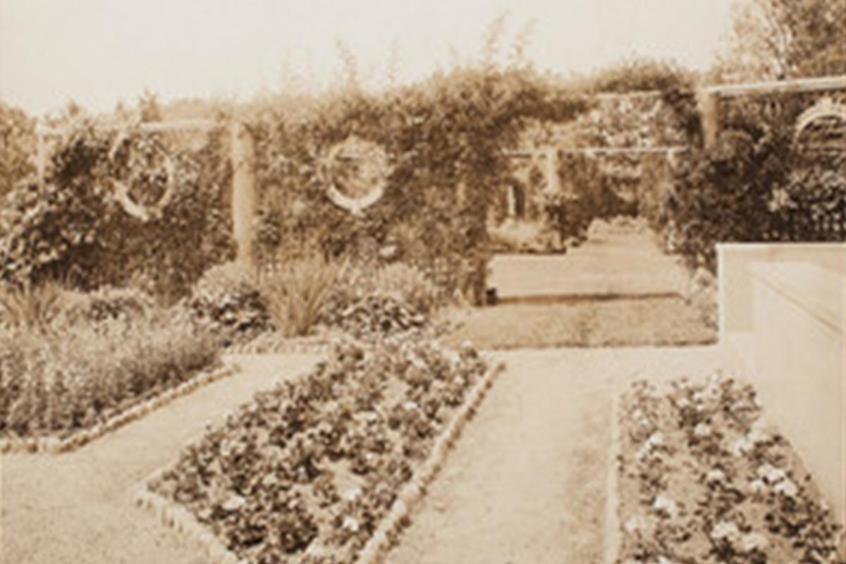 Blythswood Gardens