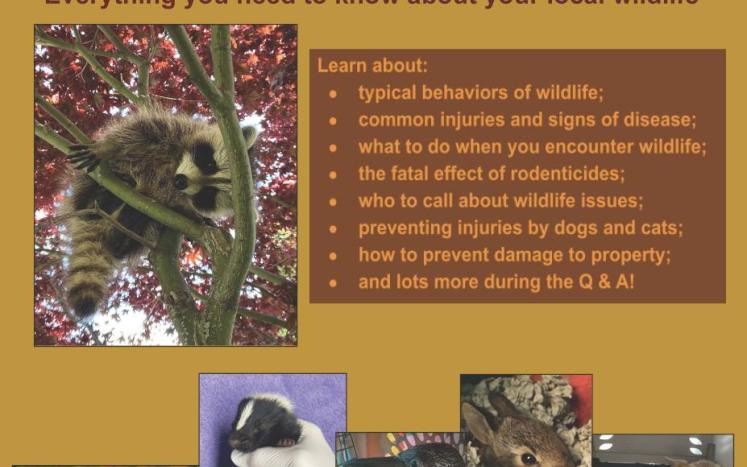 Wildlife Presentation Flyer
